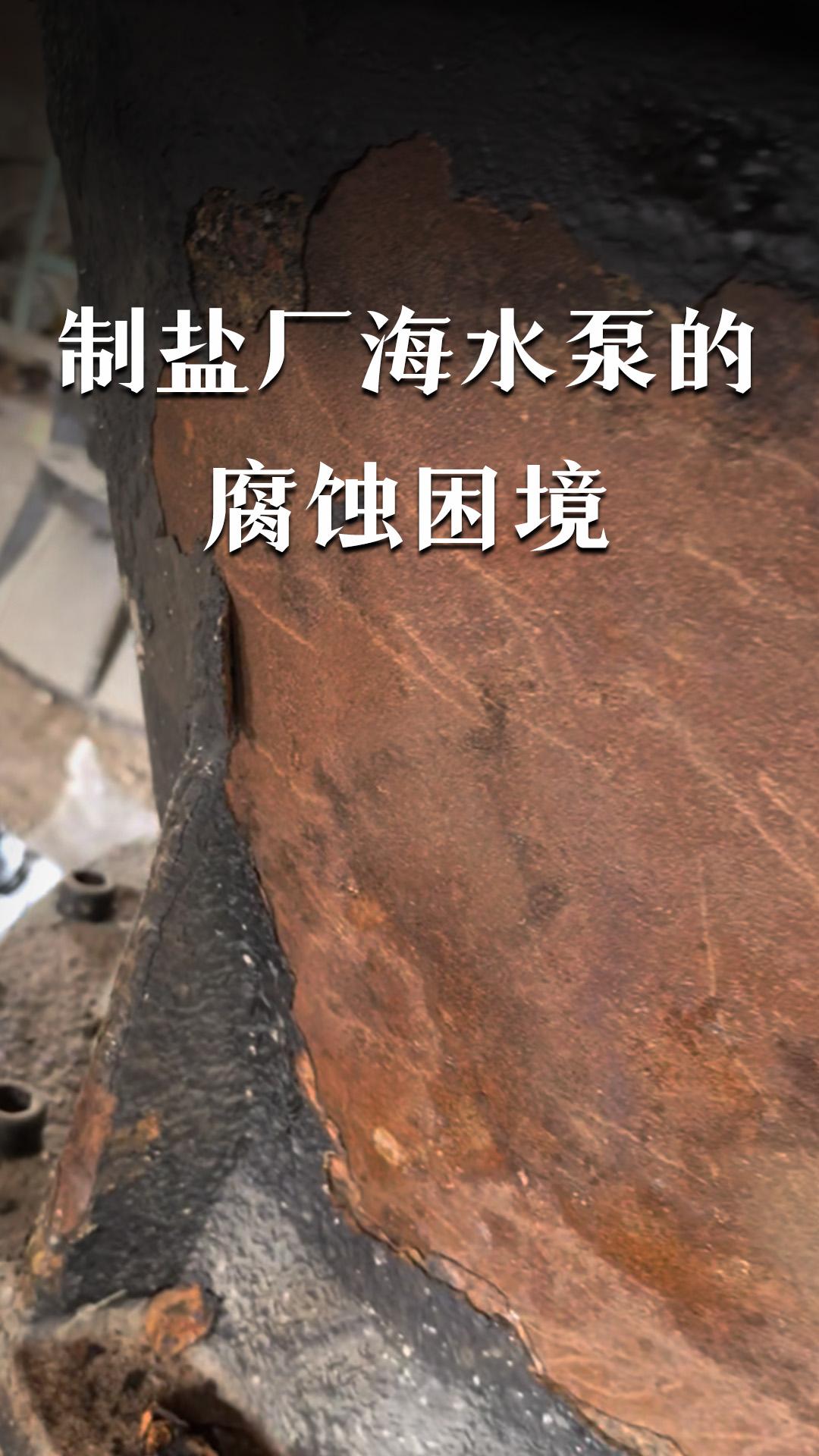 制鹽廠海水泵的腐蝕困境